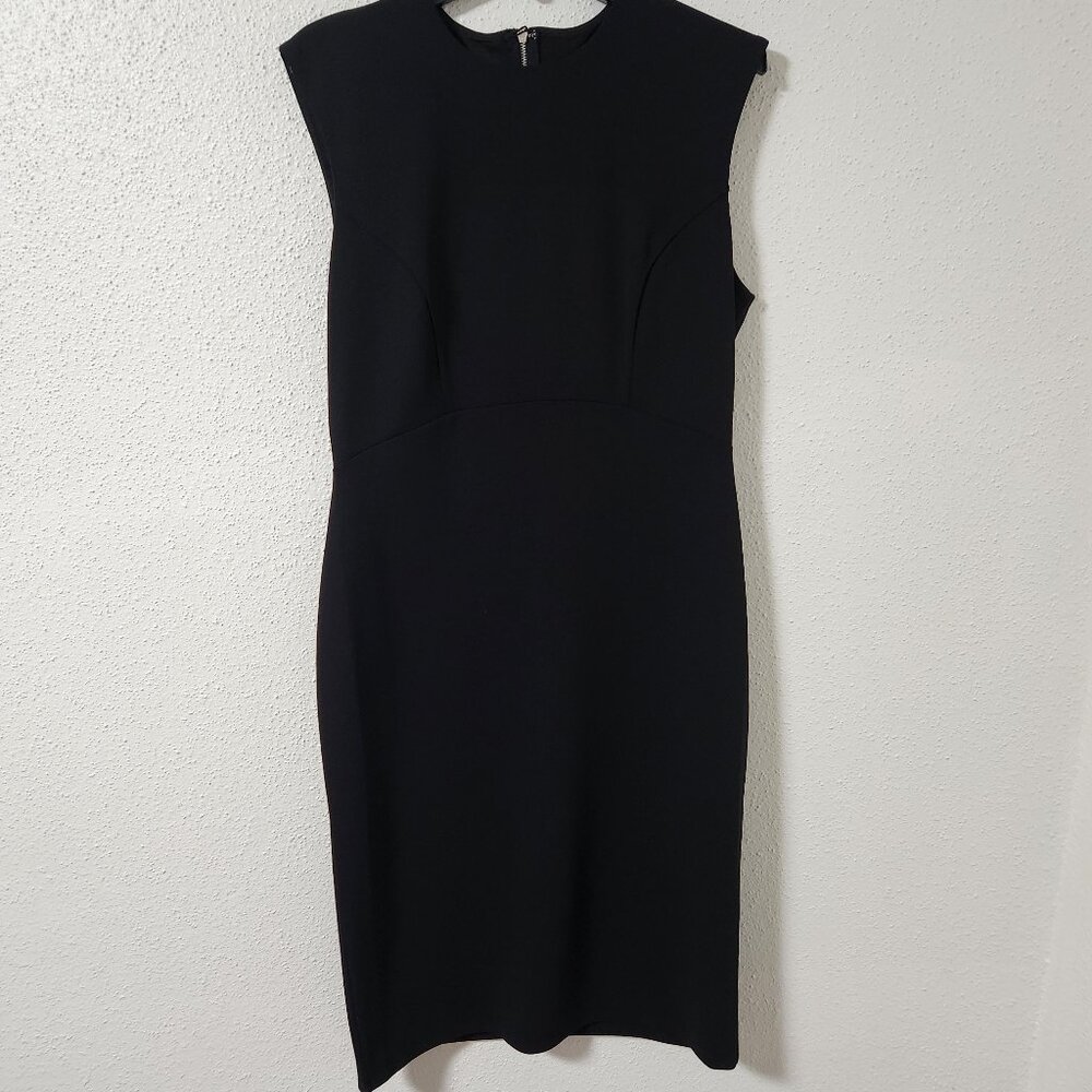 NWT Express Black Sleeveless Back Zip Pencil Dress Size 14